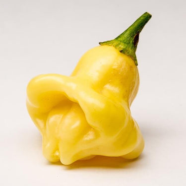 Aji Fantasy Chili Pepper Seeds - The Pepper Pantry (Formerly Marie Sharp's)